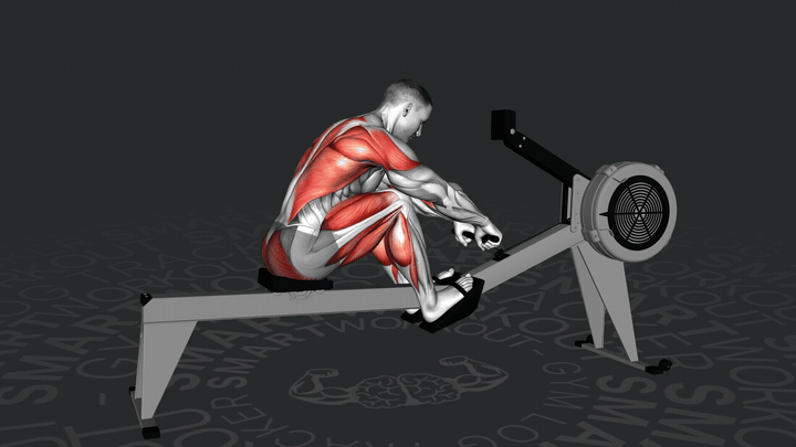 Гребной тренажёр