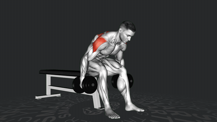Seated Bent Over Dumbbell Lateral Raise