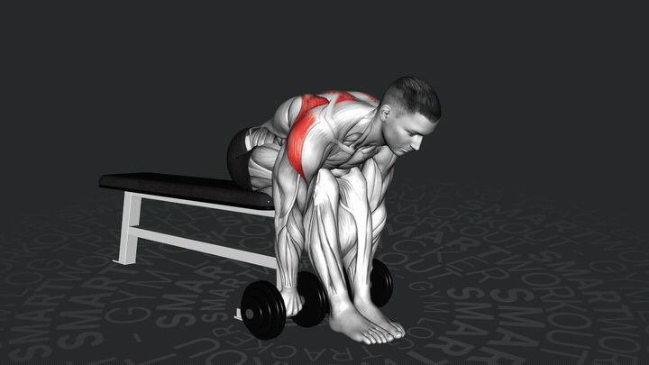 Dumbbell Seated Bent Over High Row