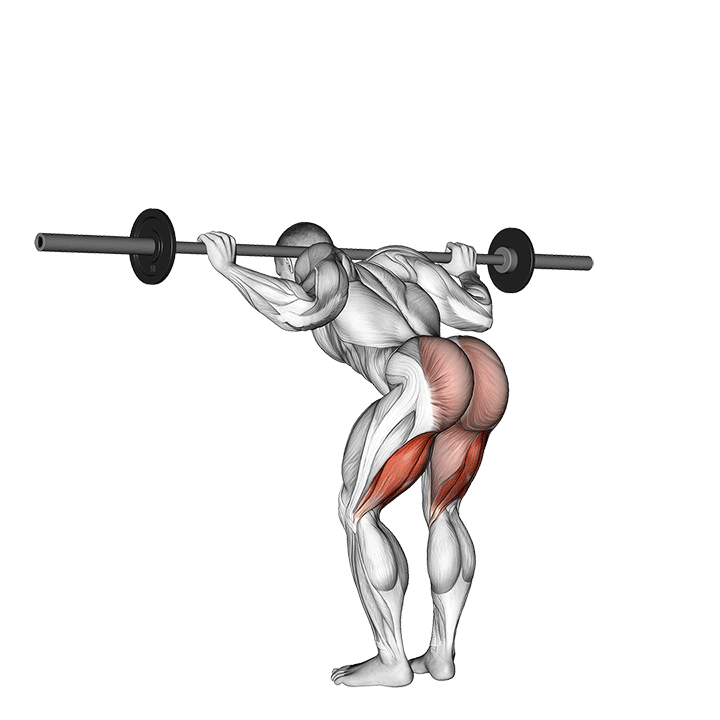 Barbell Good Morning