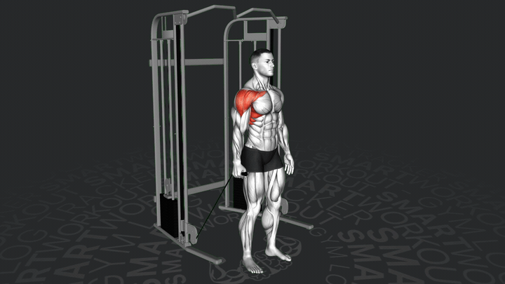 One-Arm Cable Front Raise