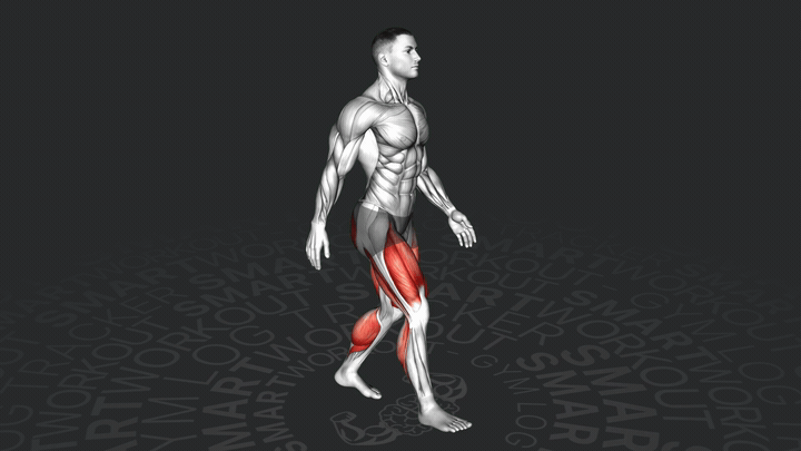 Camminata Cardiovascolare