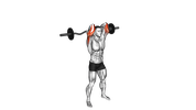 Extension des Triceps à la Barre au-dessus de la Tête en Position Debout