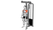 Cable Front Raise