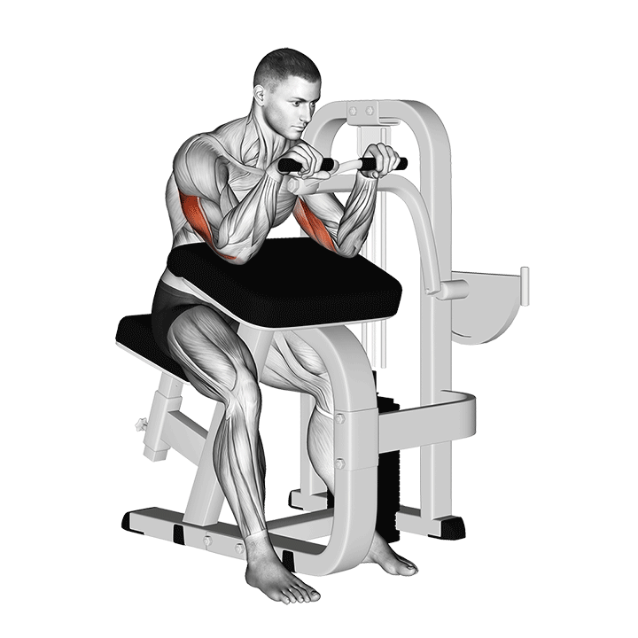 Machine Triceps Extension