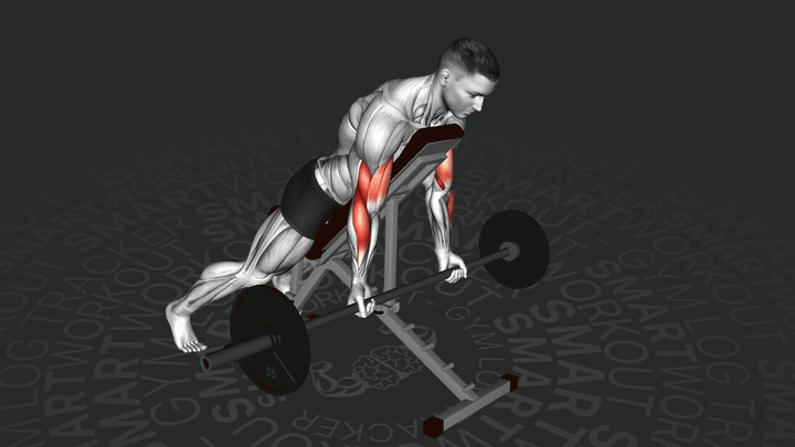 Подъем штанги на бицепс лежа на наклонной скамье