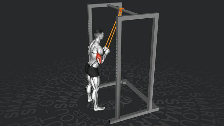 Band Trizepsdrücken