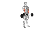 Curl à Prise Serrée avec Barre EZ