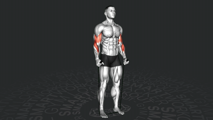 Сгибание рук с резиновой лентой в стиле "молот"