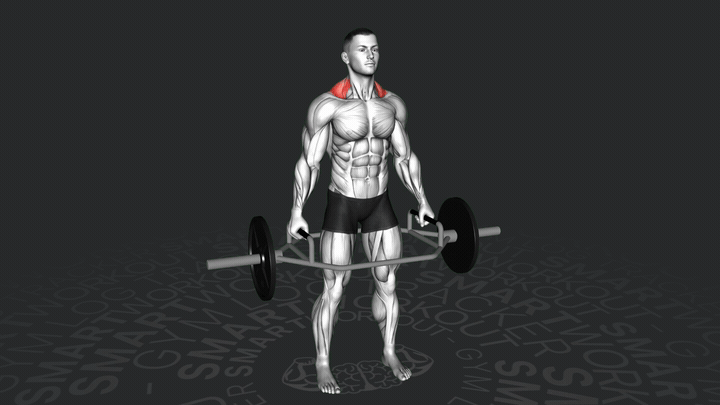 Шраги с трап-грифом