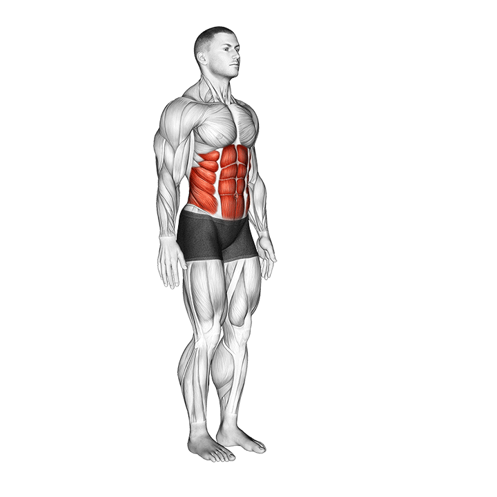 Standing Forward Bend