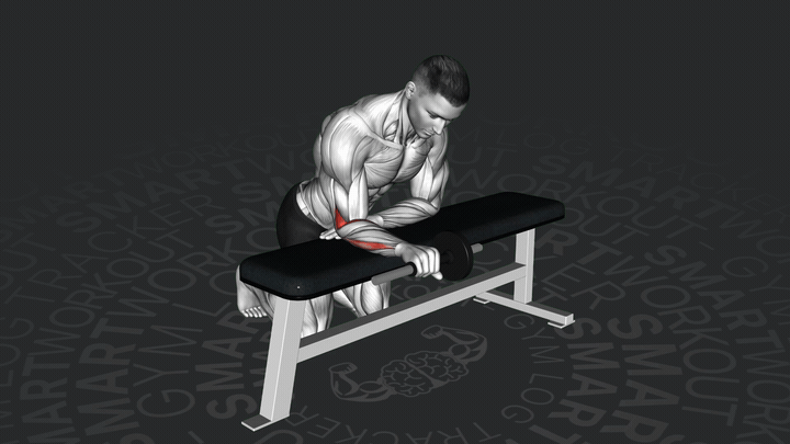 Einarmige Kurzhantel-Supination