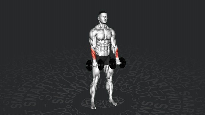 Kurzhantel Stehende Rückwärtige Handgelenkcurls