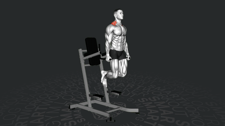 Шраги на брусьях