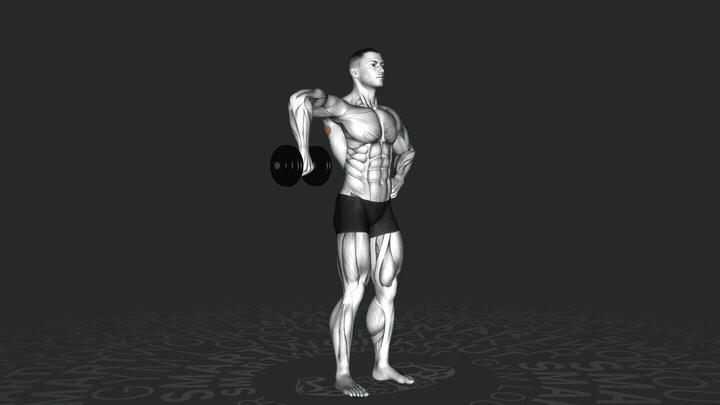 Dumbbell Cuban Rotation