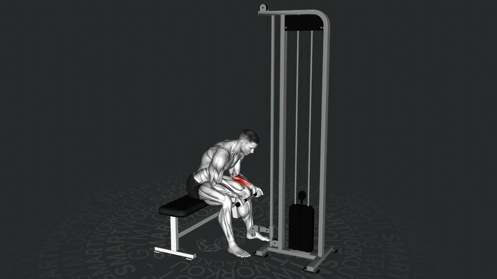 Sitzendes Kabel-Handgelenkbeugen