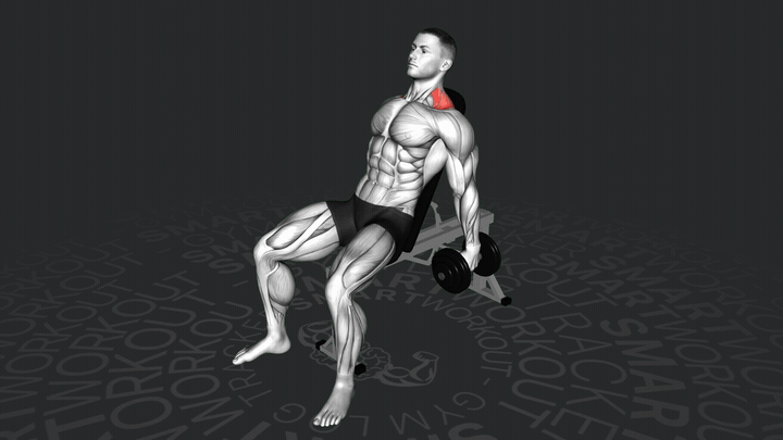 Сидячие шраги с гантелями