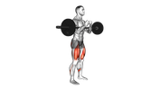 Squat Zercher isométrique