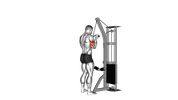 Triceps Cable Pushdown Reverse Grip