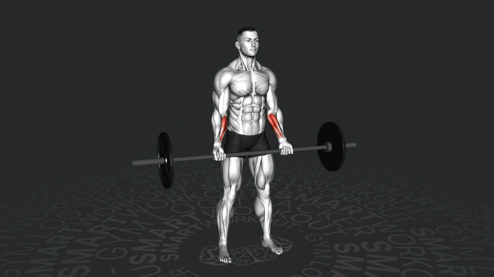 Langhantel Stehende Handgelenkcurl