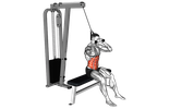 Seated Ab Cable Crunch