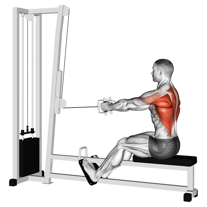 Seated Cable Row Neutral Grip