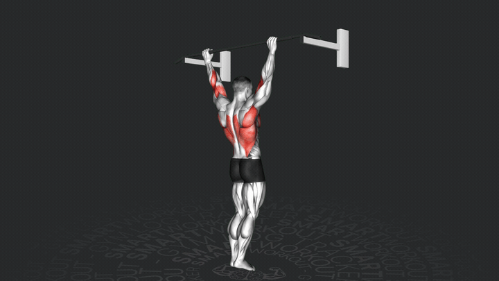 Tractions prise large