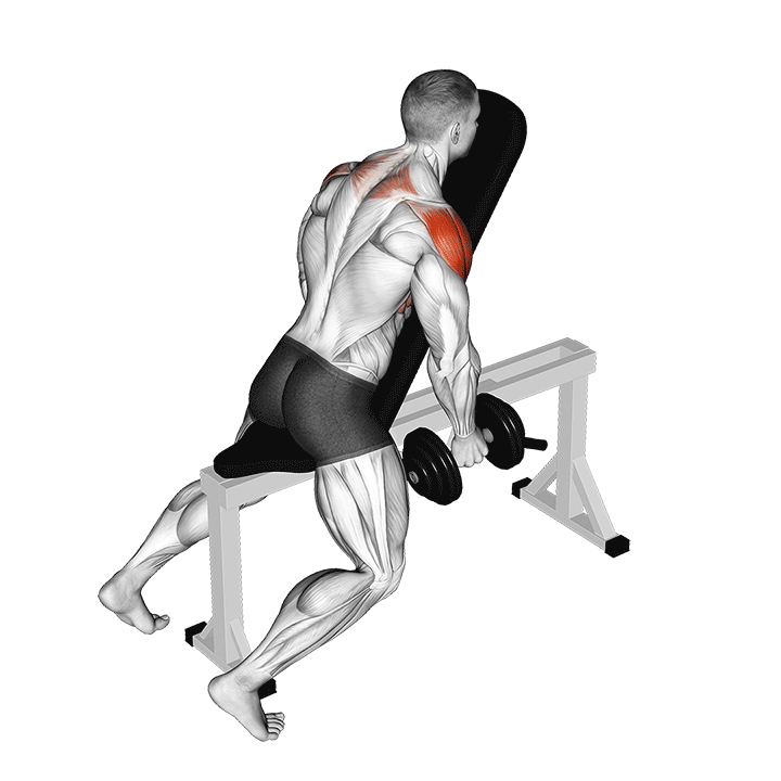 Chest Supported Lateral T Raise