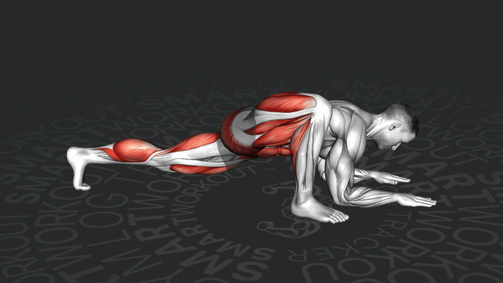 Posizione del Lucertola