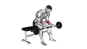 Barbell Wrist Curl