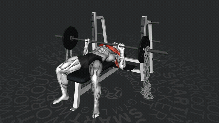 Press de Banca con Barra y Cadenas