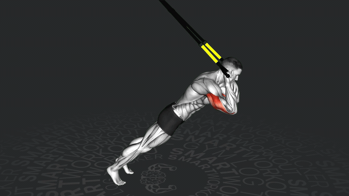 Ring-Trizepsstreckung