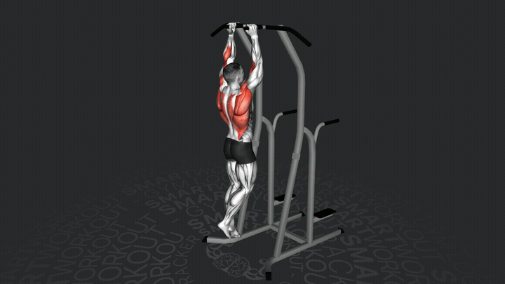 Подтягивание нейтральным хватом