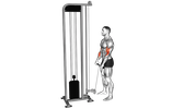 Reverse Grip Cable Curl