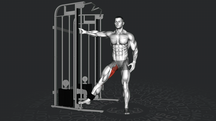 Adduzione dell'anca al cavo