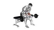 EZ-Bar Seated Wrist Curl