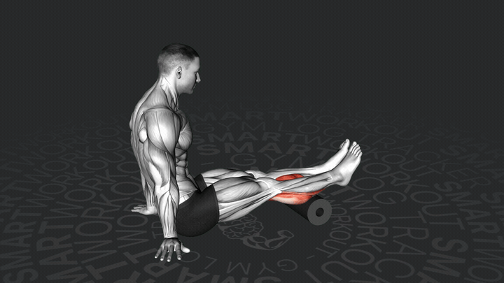 Sollevamento dei Polpacci