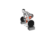 Barbell Rack Pull