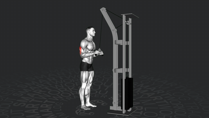 Trizepsdrücken mit V-Griffstange