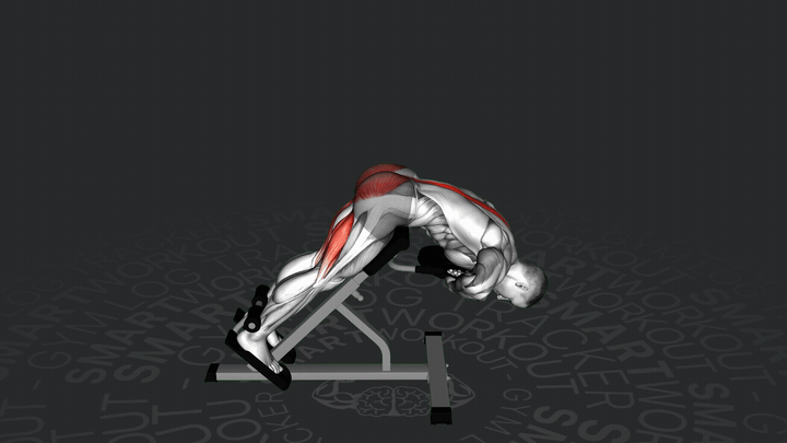 Estensione della Schiena con Sovraccarico