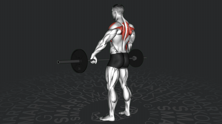 Barbell Wide Grip Upright Row