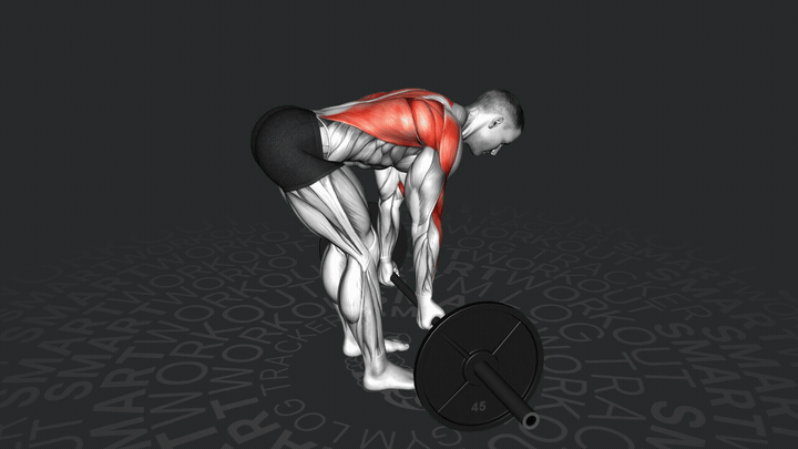 Тяга штанги обратным хватом в наклоне