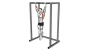 Suspension passive
