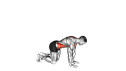 Kneeling Back Rotation Stretch