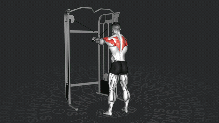 Cable Rear Delt Fly (Reverse Fly)