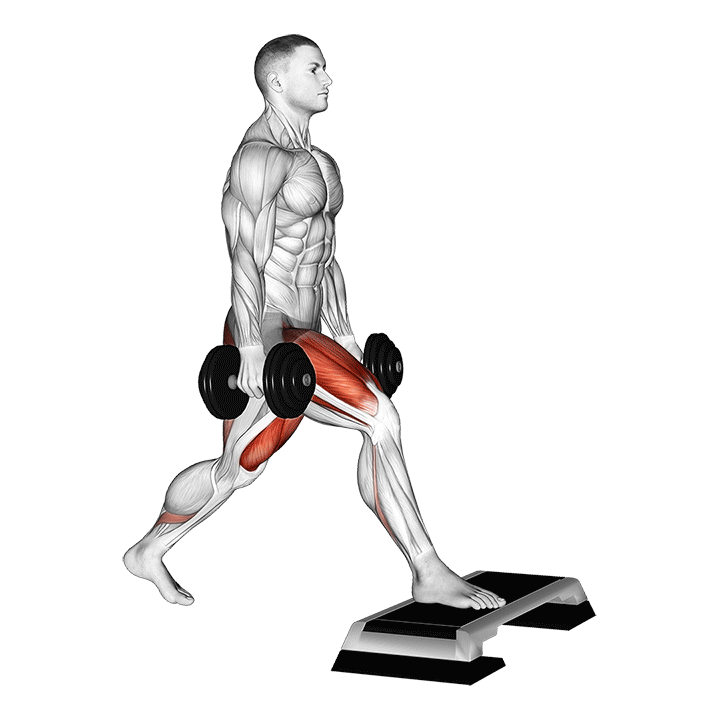 Split Squat Front Foot Elevated