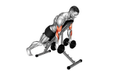 Spider Hammer Curl