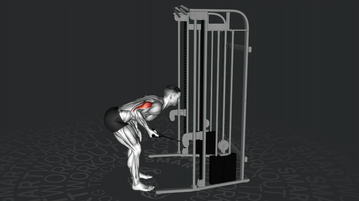 Trizeps-Kabel-Kickback