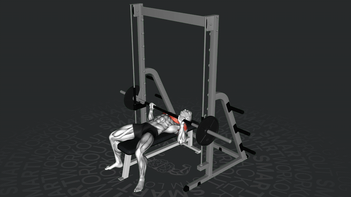 Press Plano en Multipower