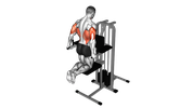 Assisted Machine Dips